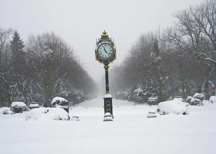 Lejlighed Good Vibes In Cismigiu Steps From Subway Self Check In *