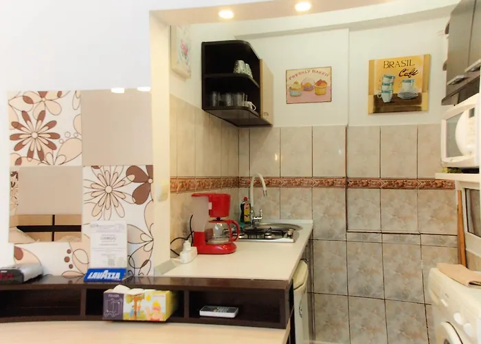 Good Vibes In Cismigiu Steps From Subway Self Check In Apartman *